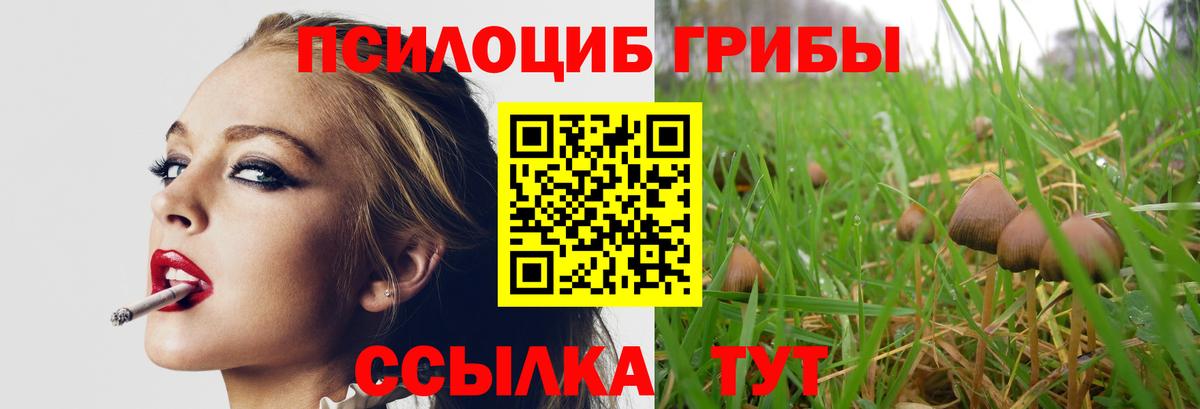 Псилоцибиновые грибы MAGIC MUSHROOMS Грязи